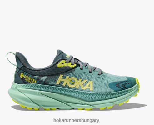 Hoka Cipő - Hoka challenger 7 gtx nők 662P4094 rácsos/balzsamzöld